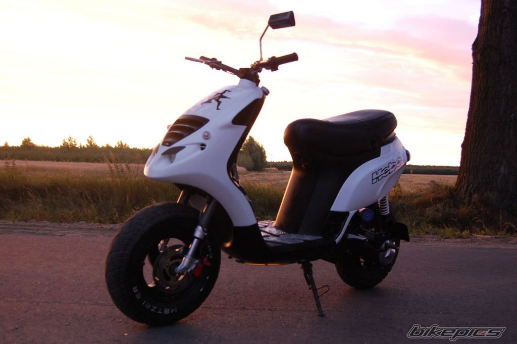 Photo 1363203