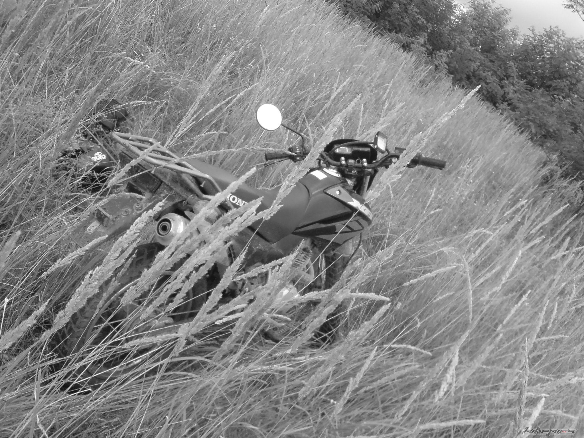 Photo 1363219