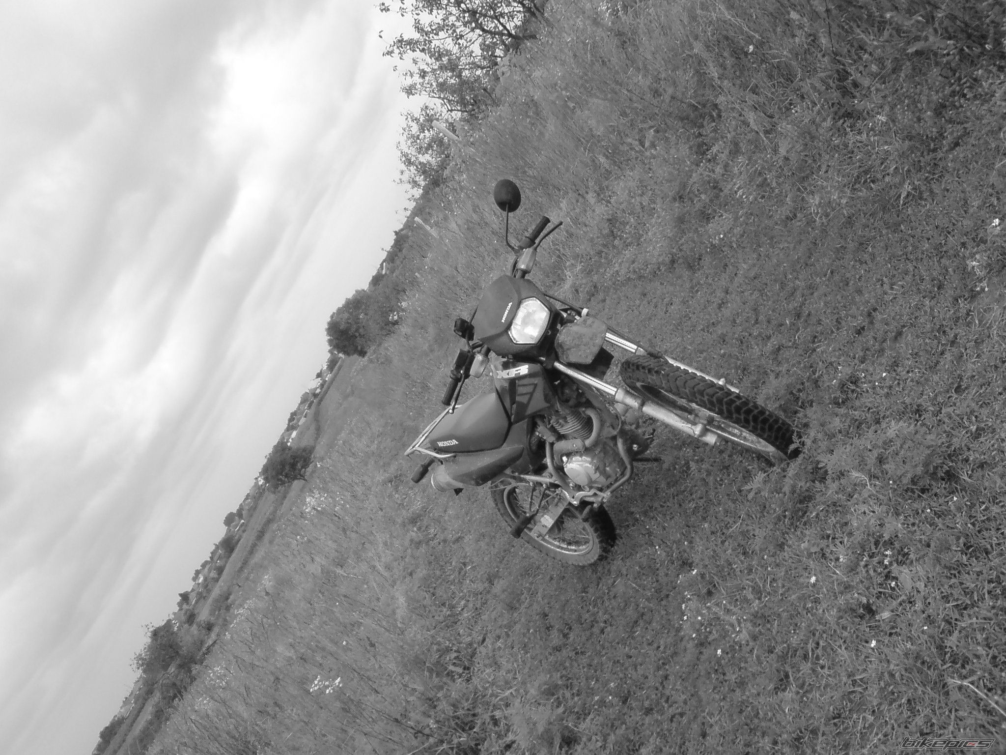 Photo 1363224