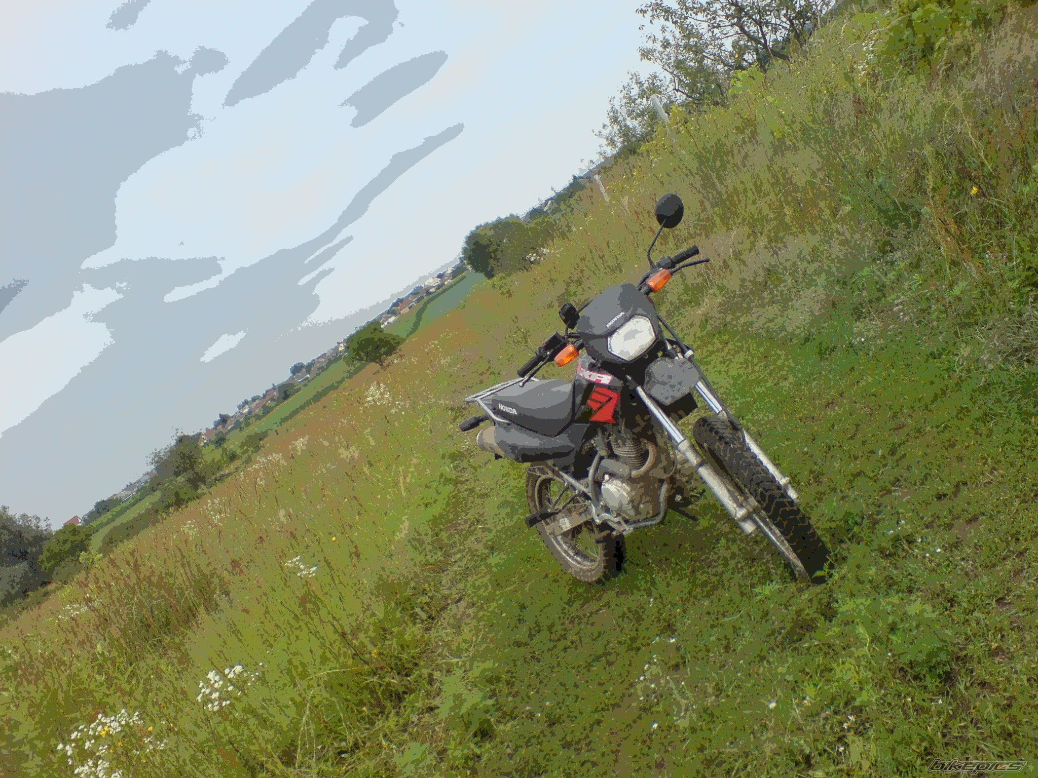 Photo 1363229