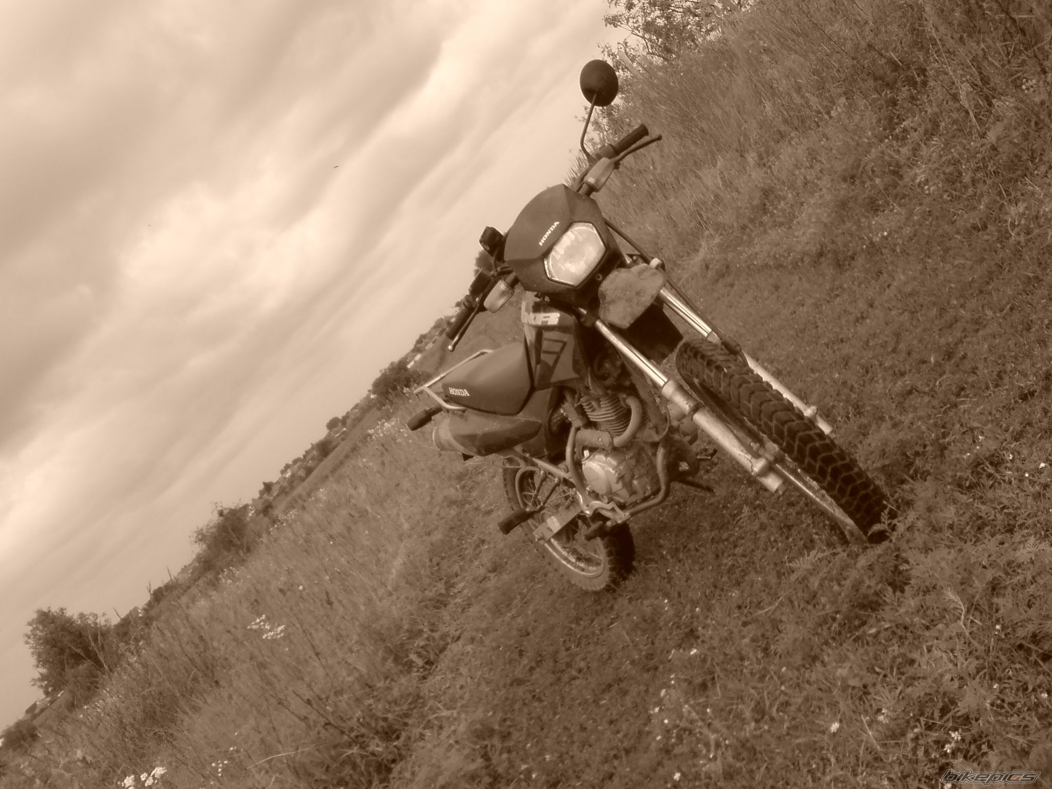 Photo 1363234