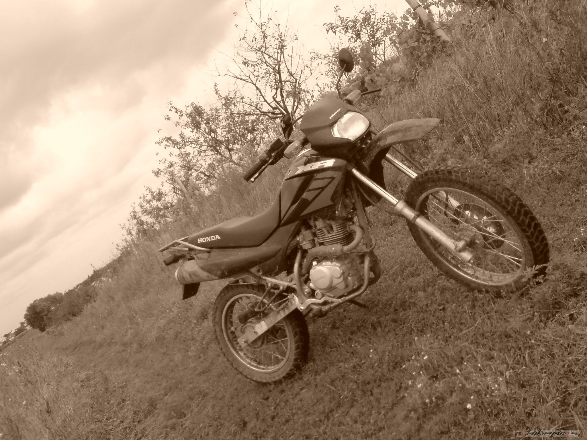 Photo 1363240