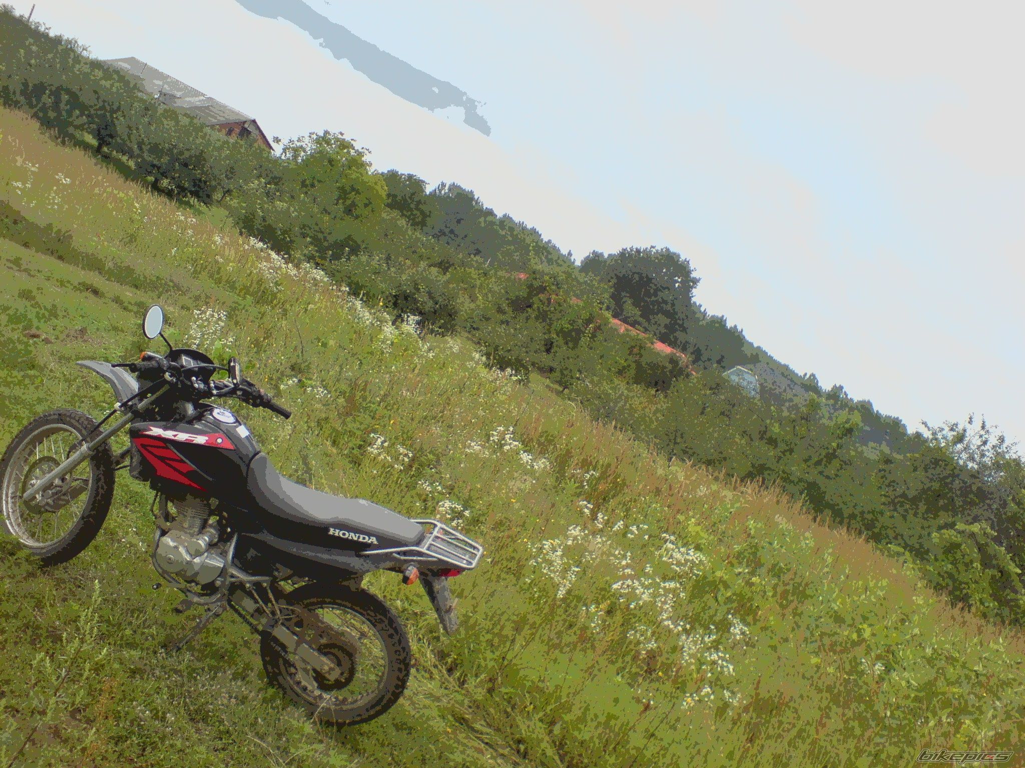 Photo 1363246