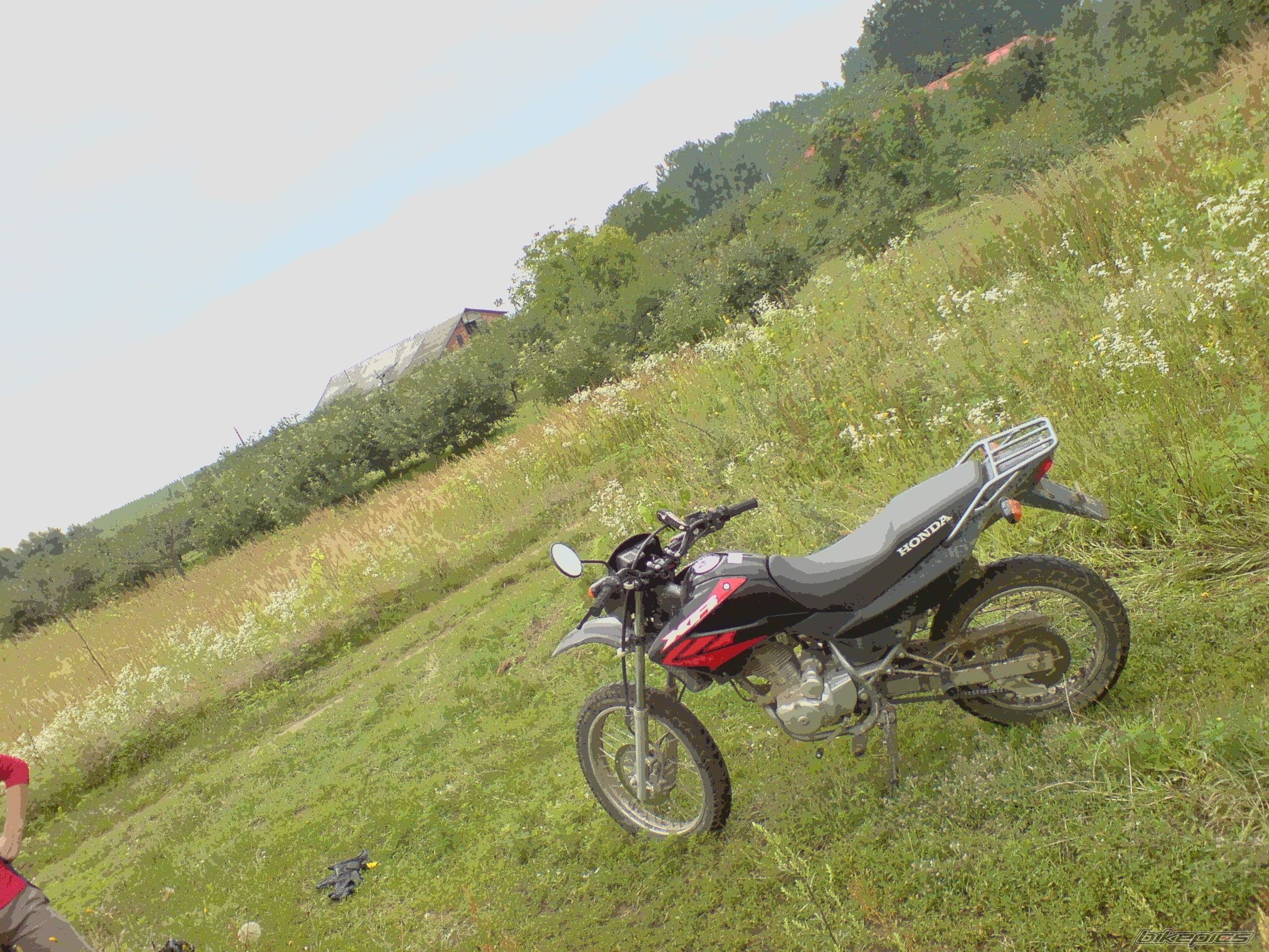 Photo 1363252