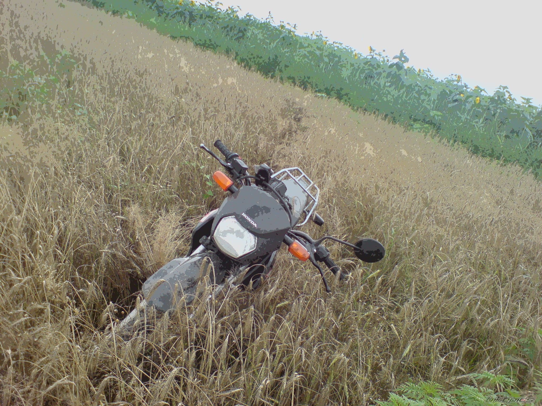 Photo 1363297