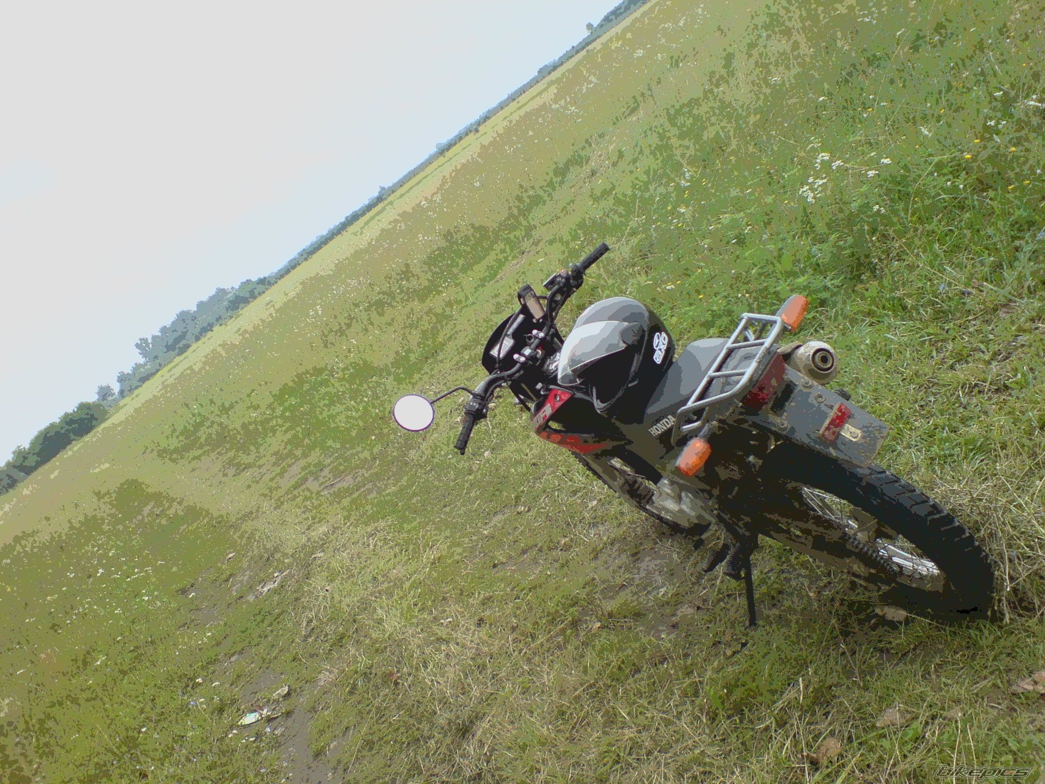 Photo 1363308