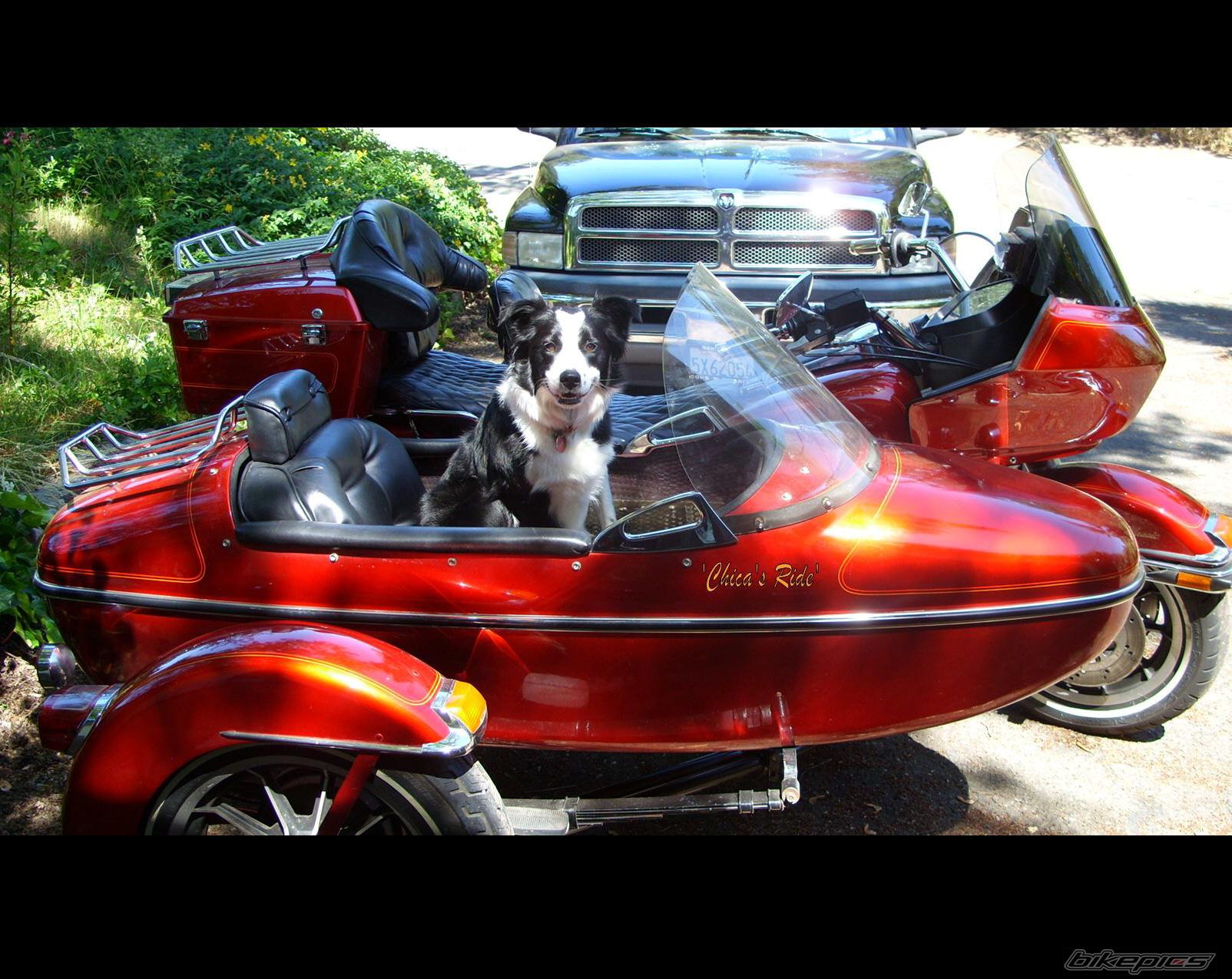 Photo 1363341
