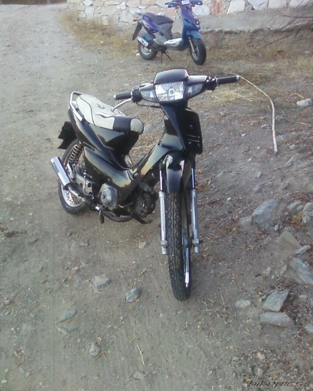 Photo 1363565