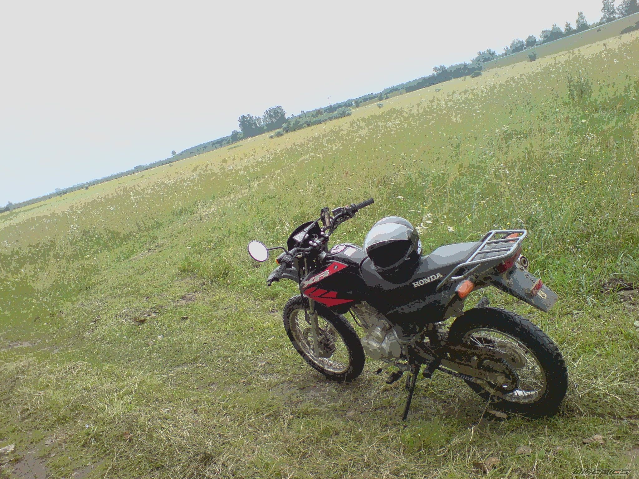 Photo 1363566