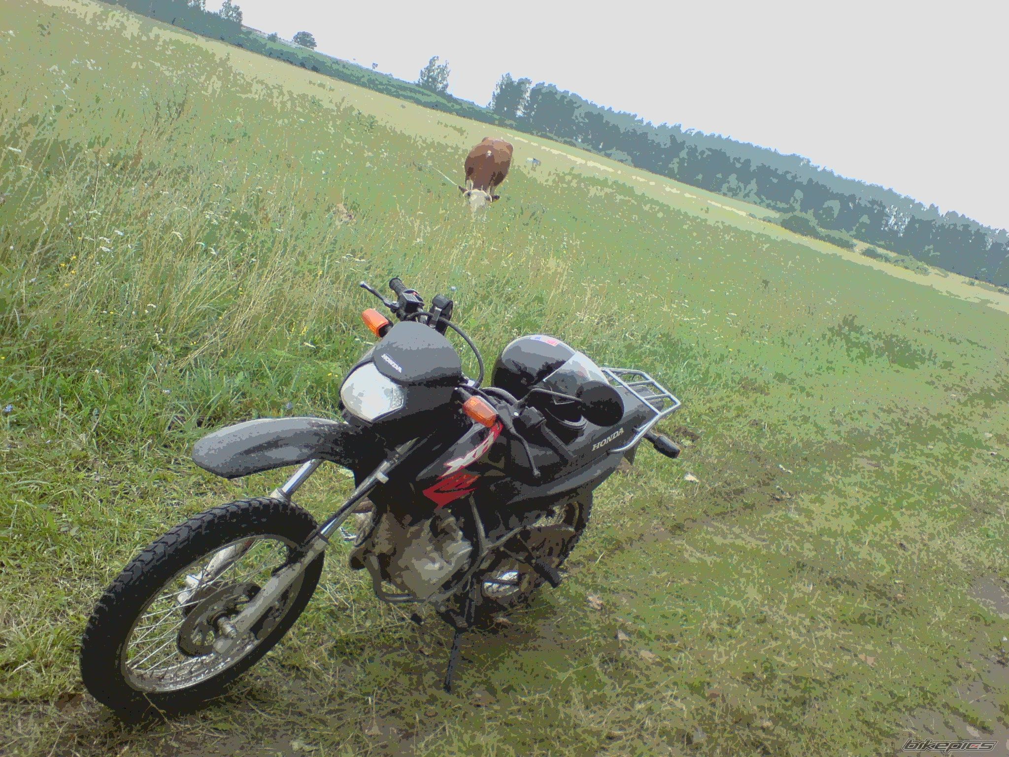 Photo 1363568