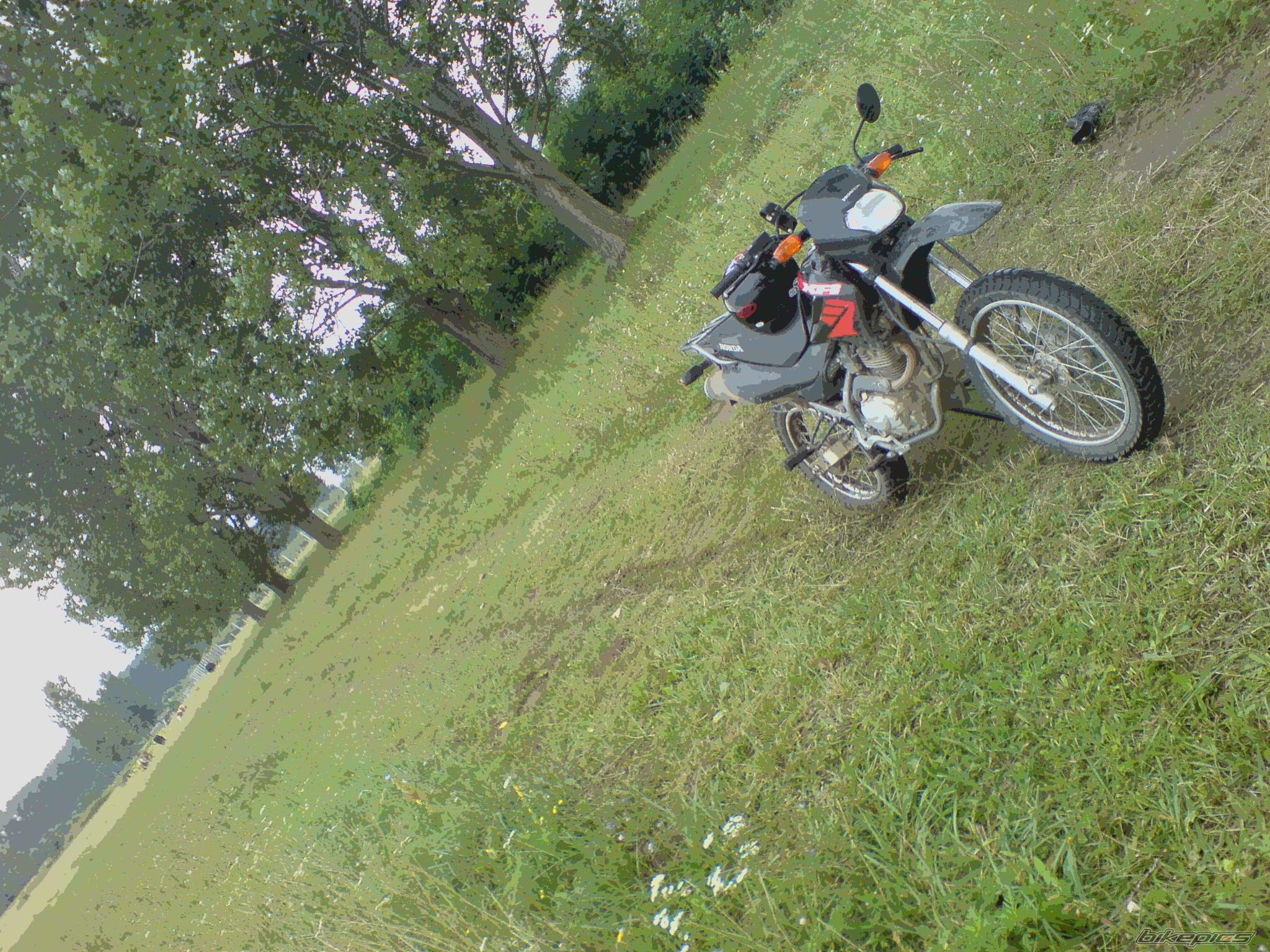 Photo 1363569