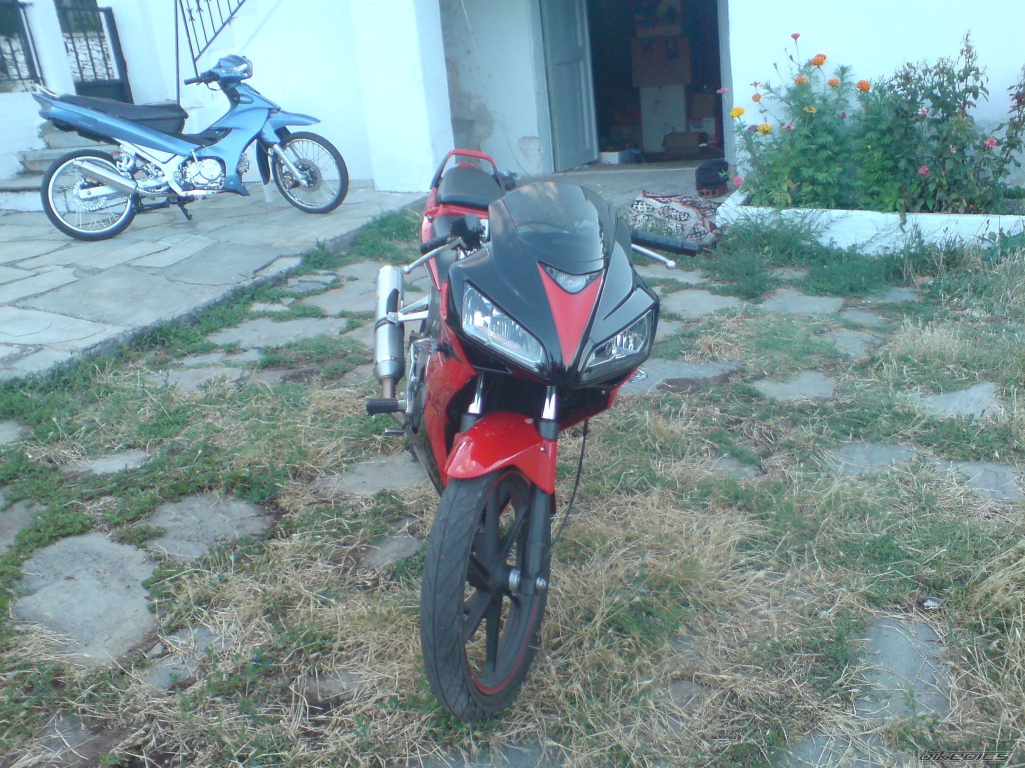 Photo 1363625