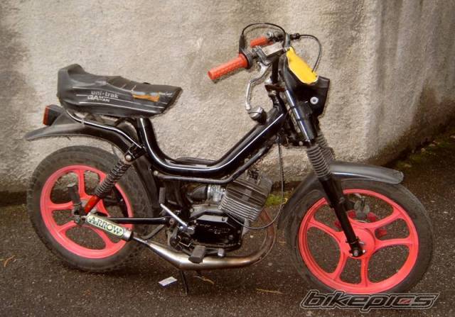 Photo 136363