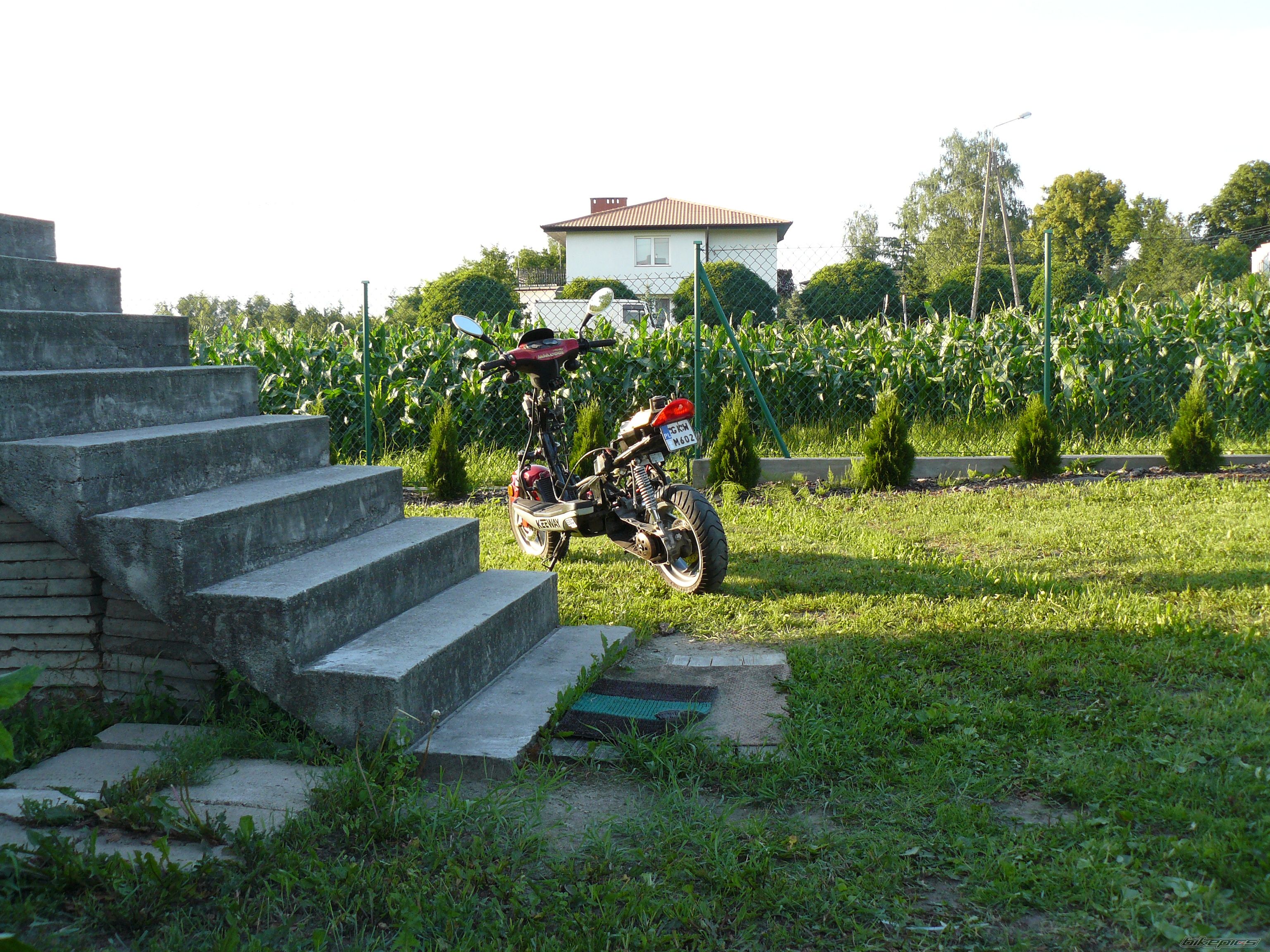 Photo 1363676