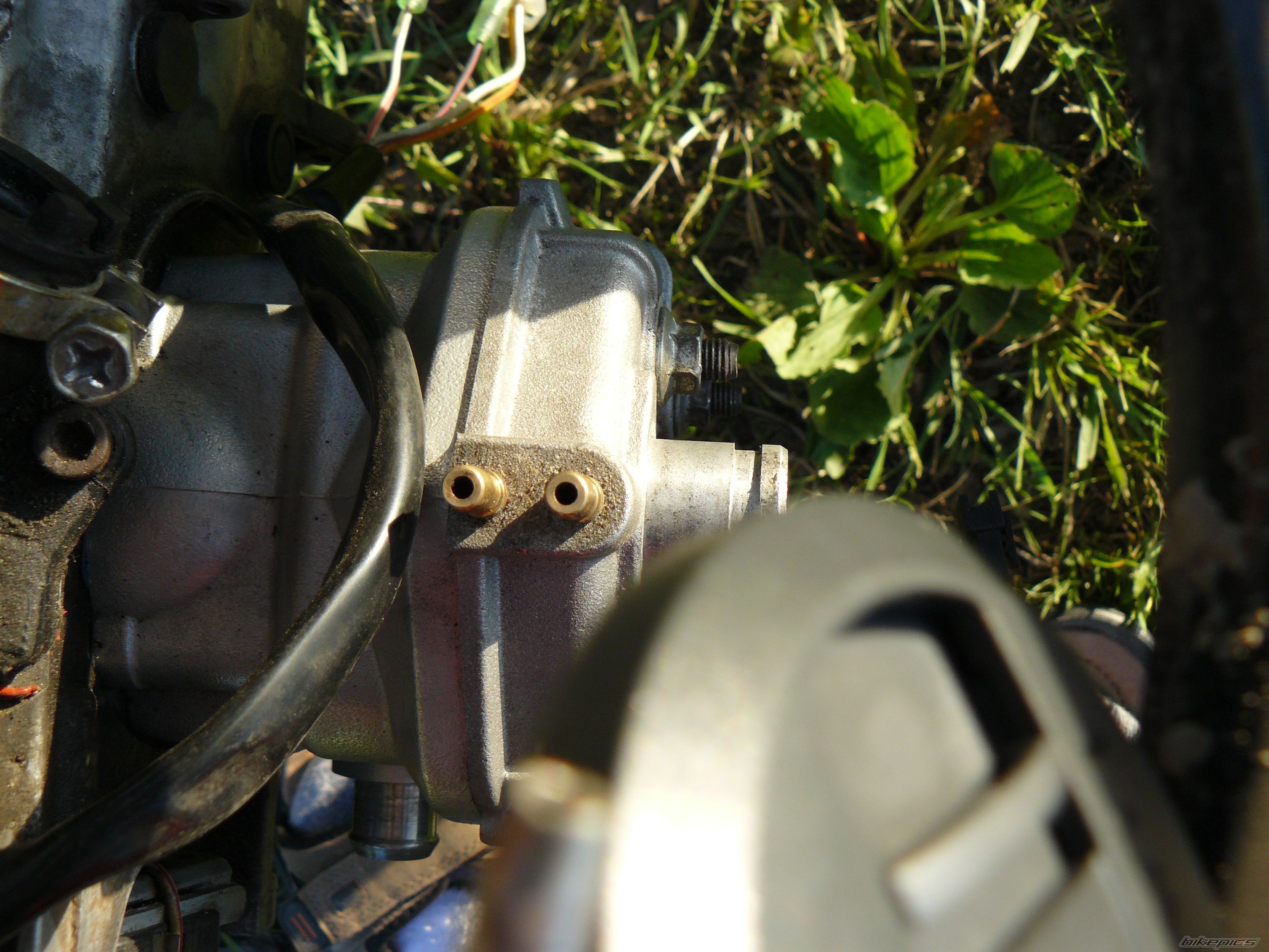 Photo 1363686