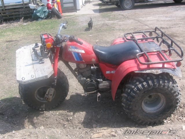 Photo 1363709