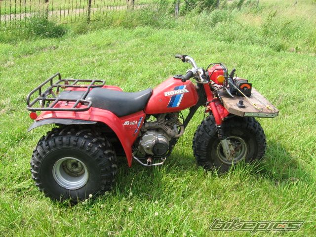 Photo 1363710