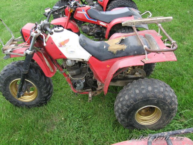 Photo 1363712