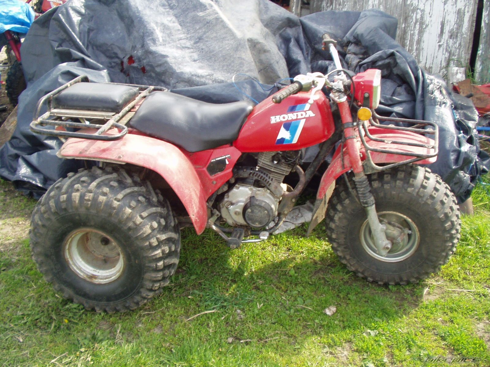 Photo 1363717
