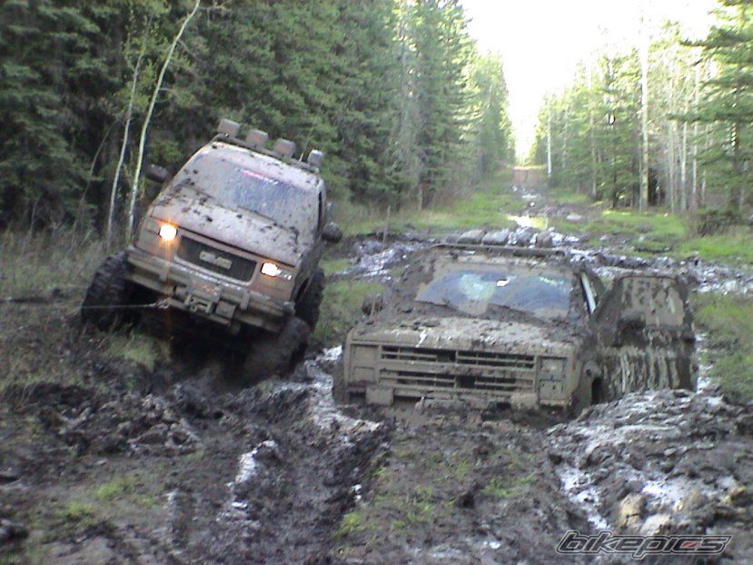 Photo 1363739