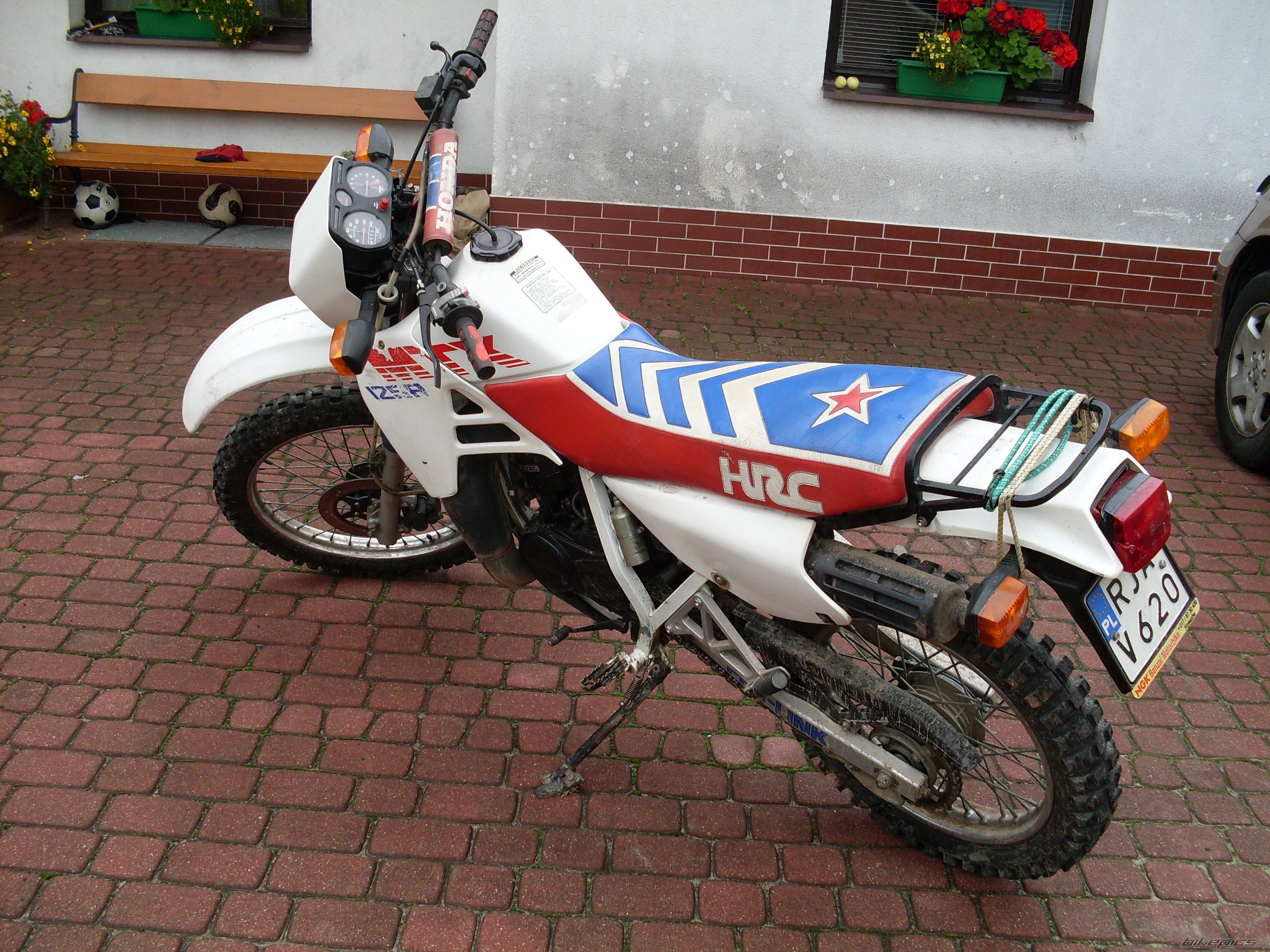Photo 1363771