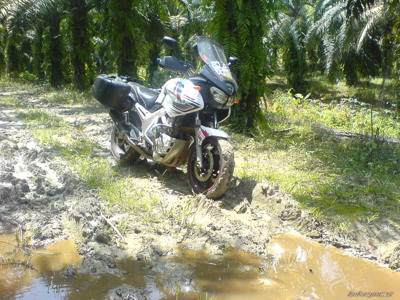 Photo 1363820