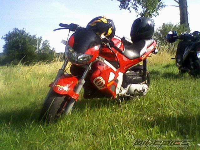 Photo 1363858