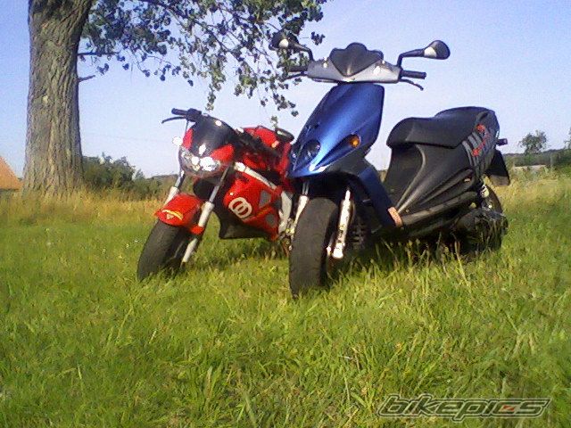 Photo 1363861