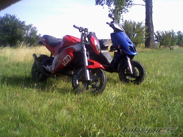 Photo 1363862