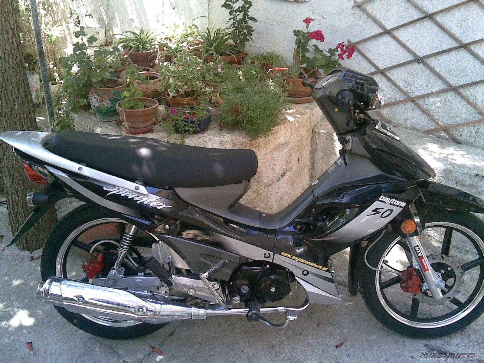 Photo 1363921