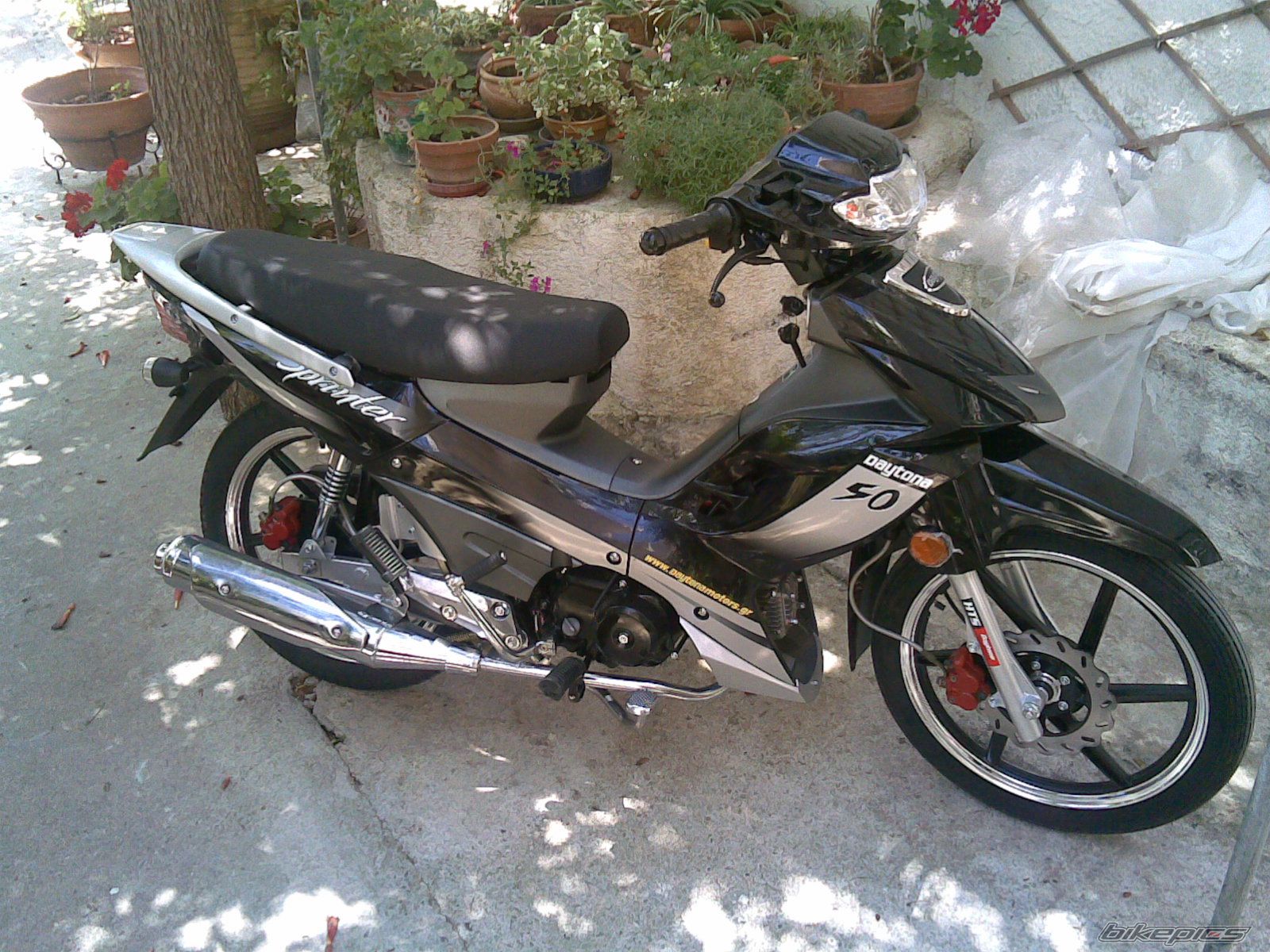 Photo 1363923