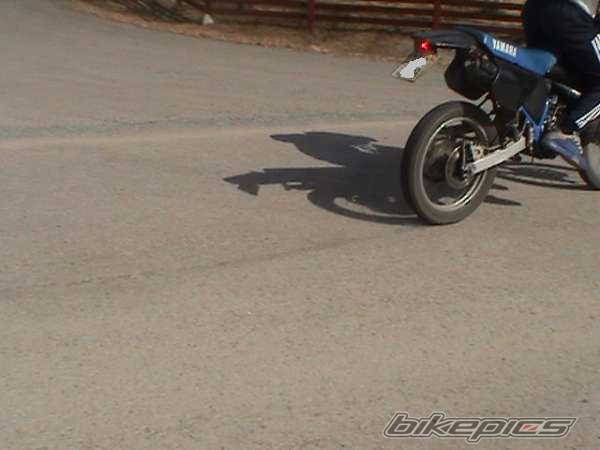 Photo 136395