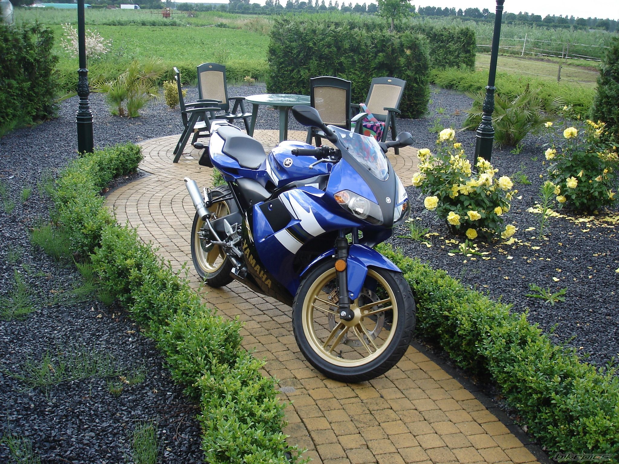 Photo 1364119