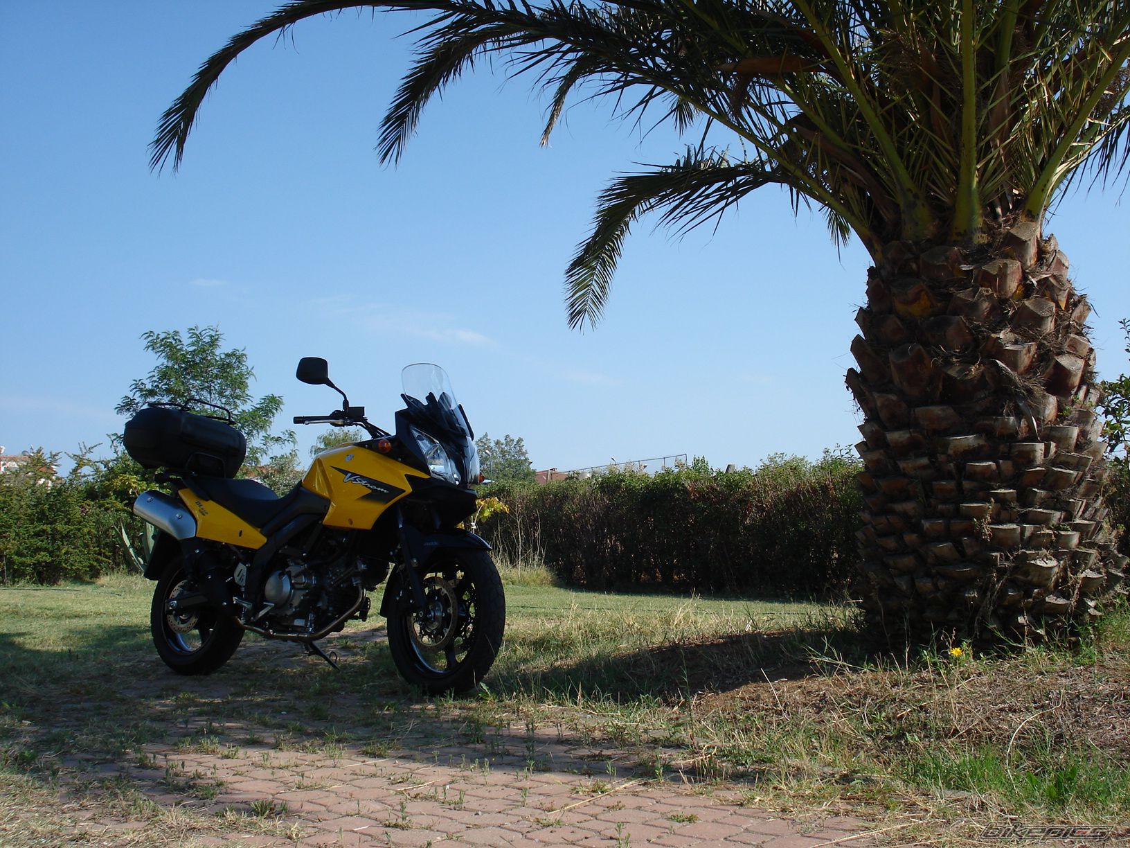 Photo 1364253