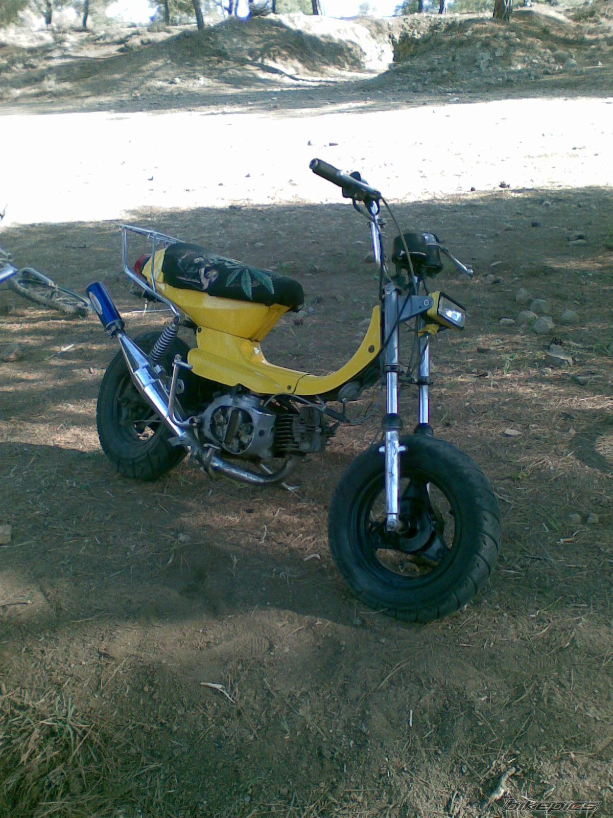 Photo 1364444
