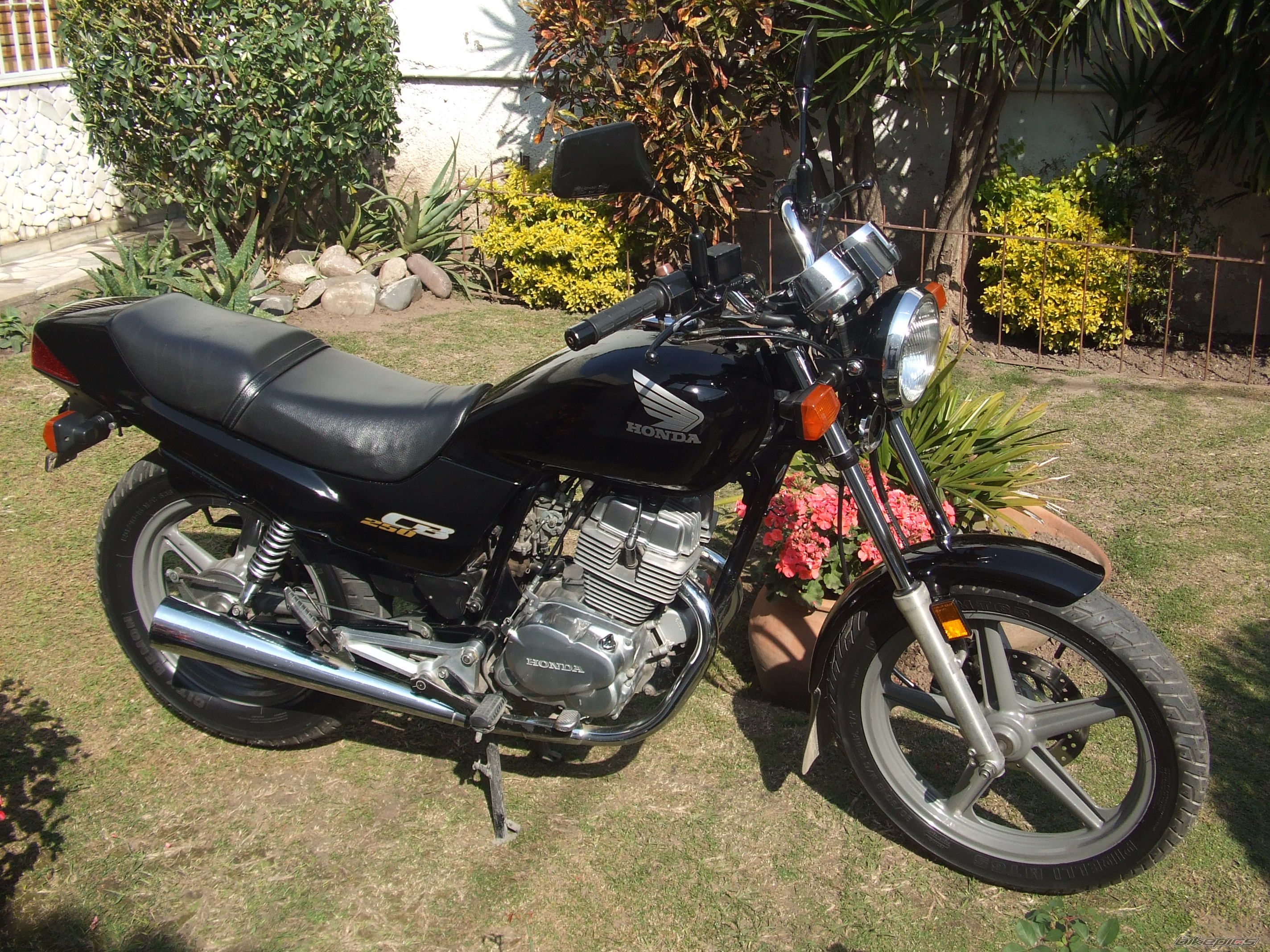 Bike Photo 1364469