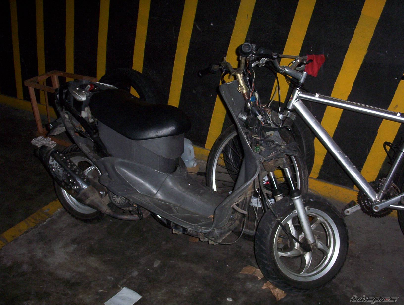 Photo 136447
