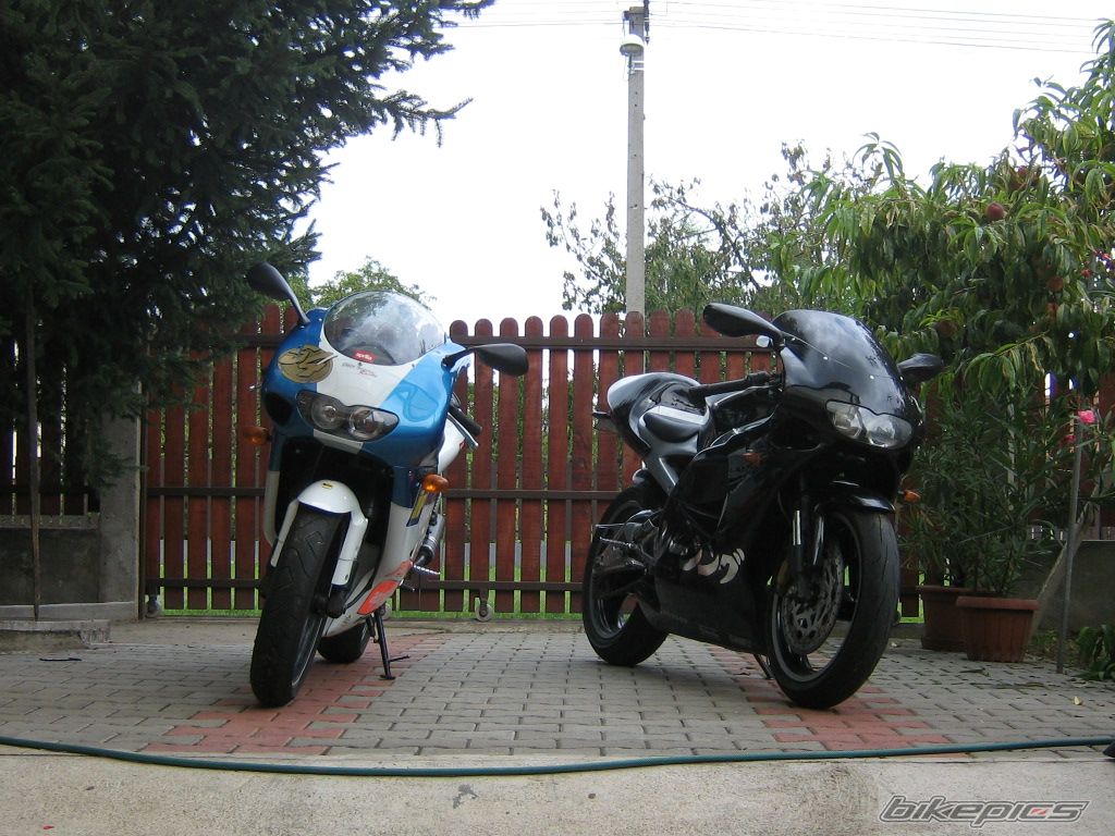 Photo 1364539