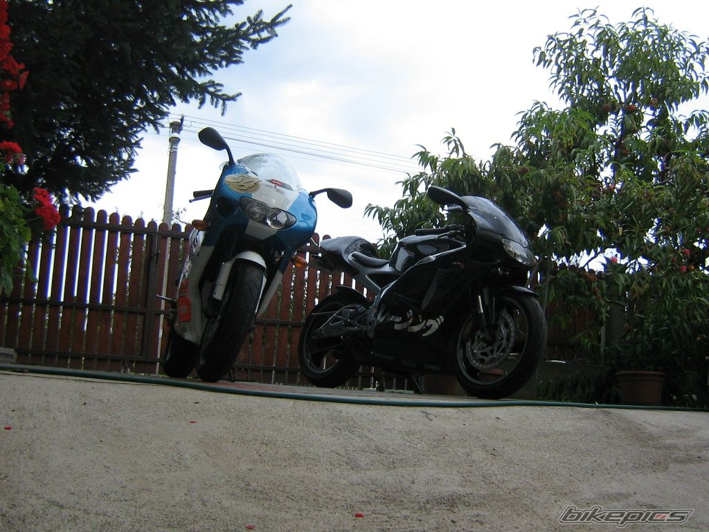 Photo 1364540
