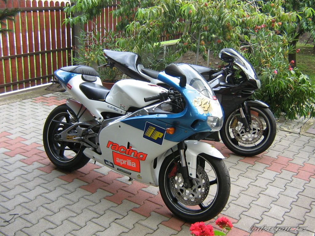 Photo 1364541