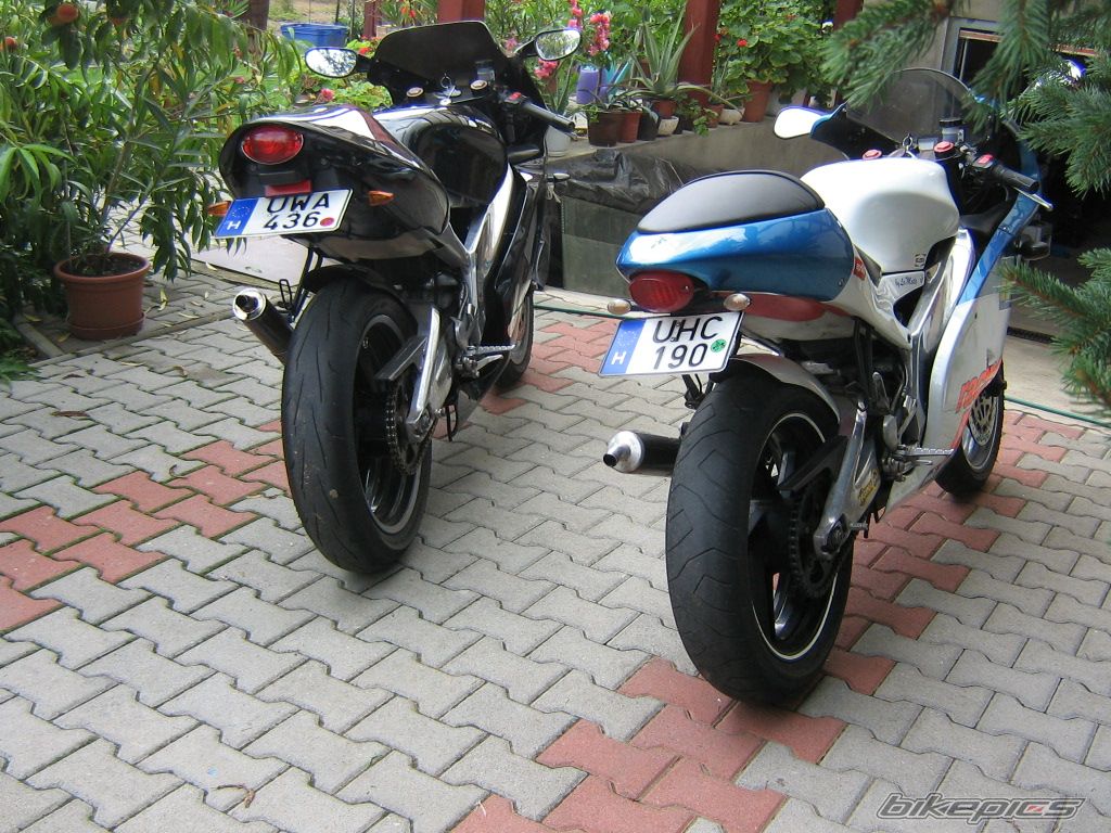 Photo 1364544