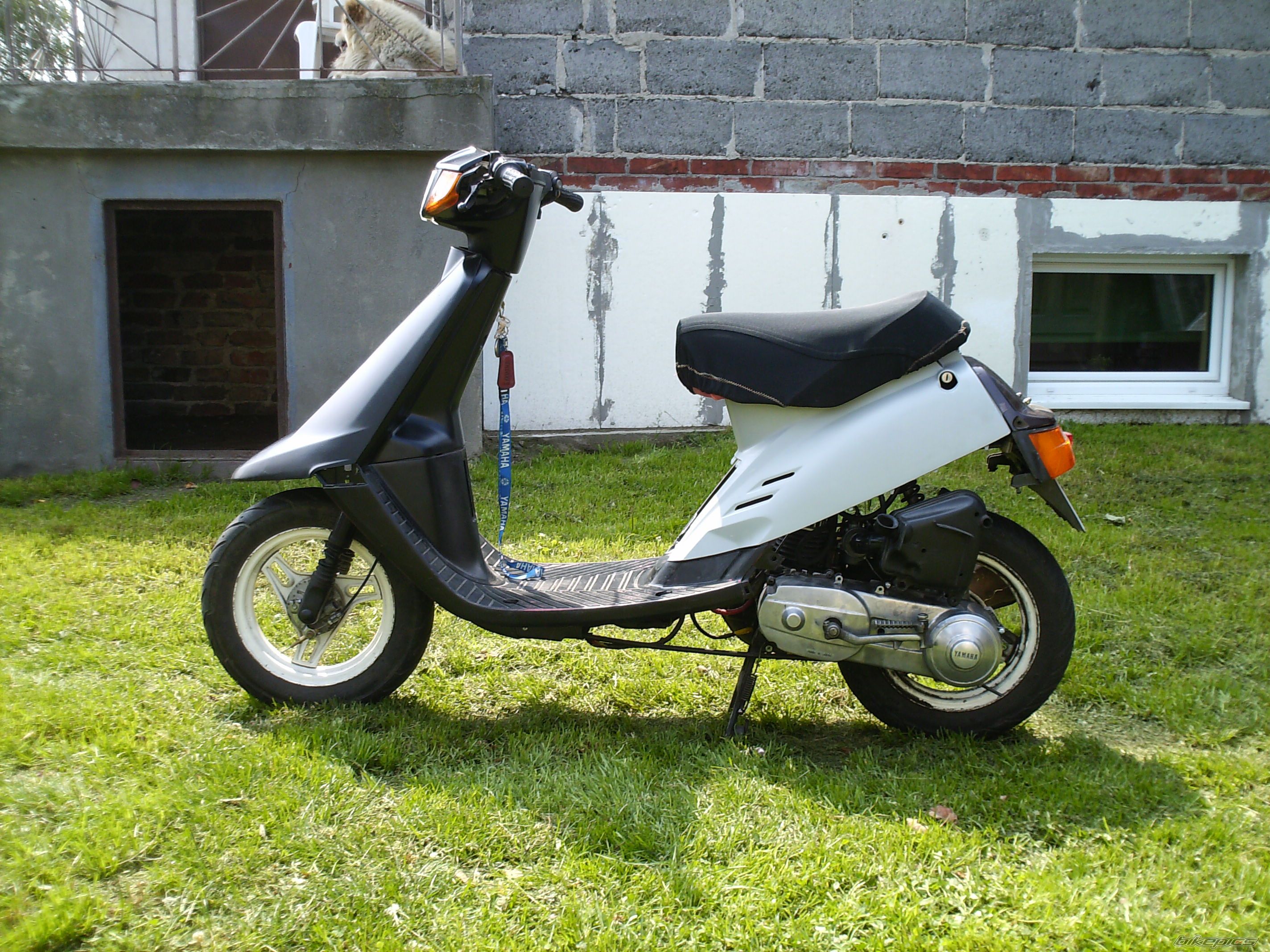 Bike Photo 1364551