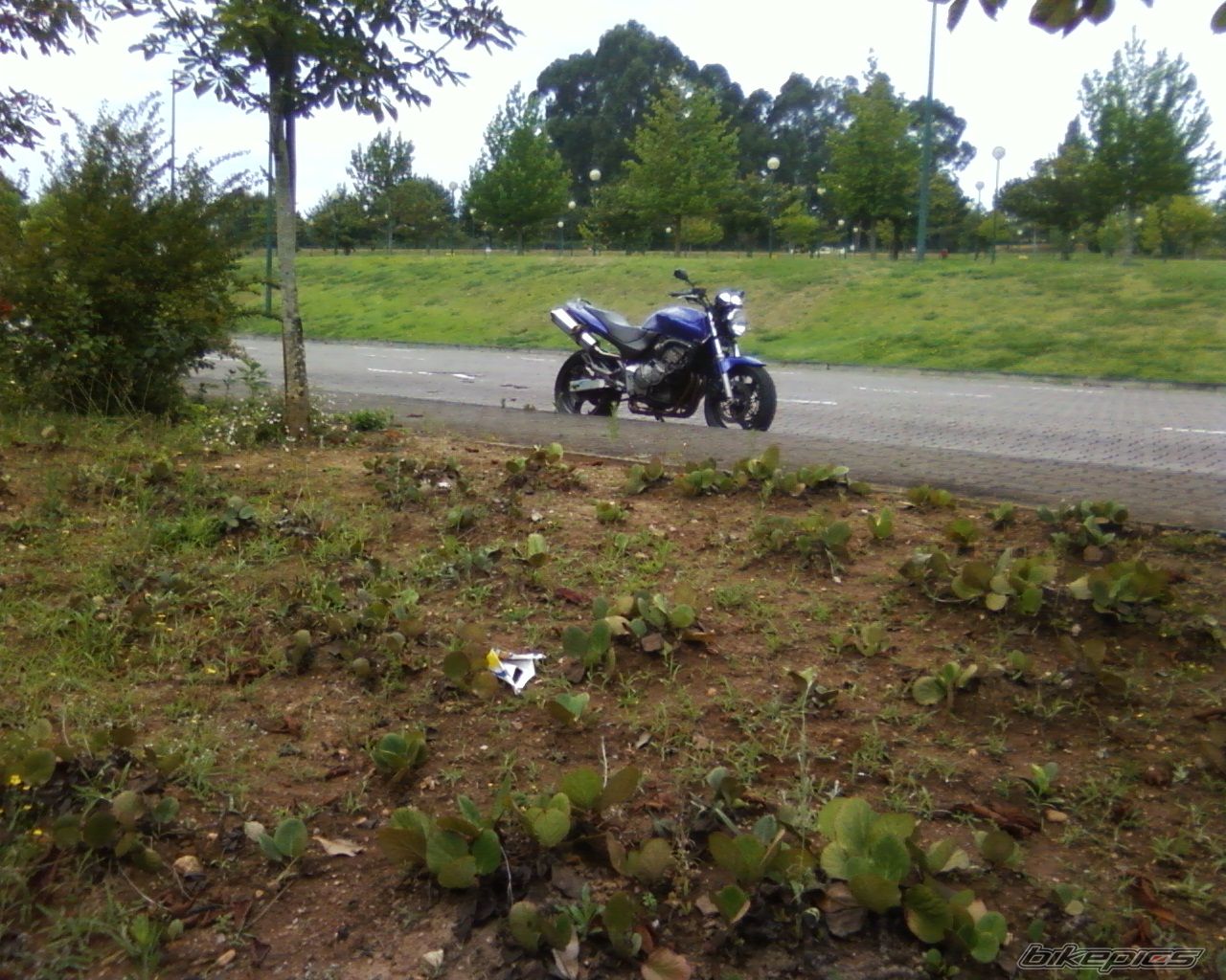 Bike Photo 1364605