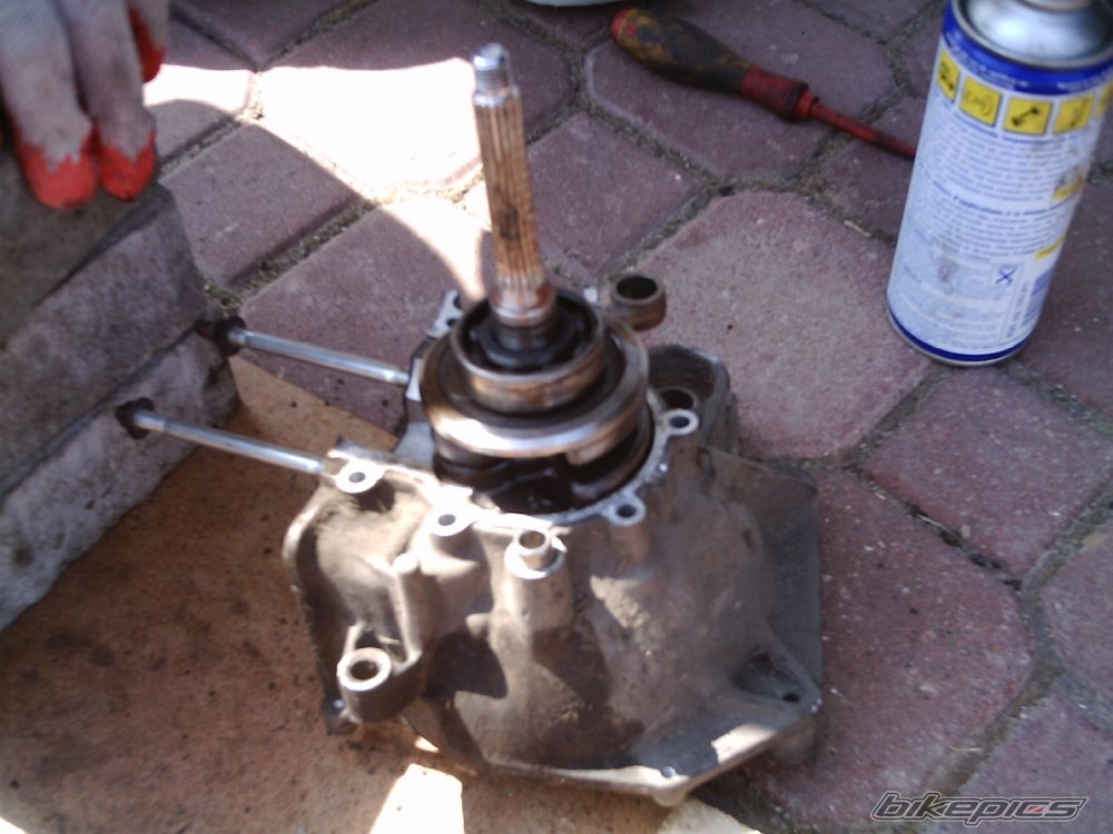 Photo 1364631