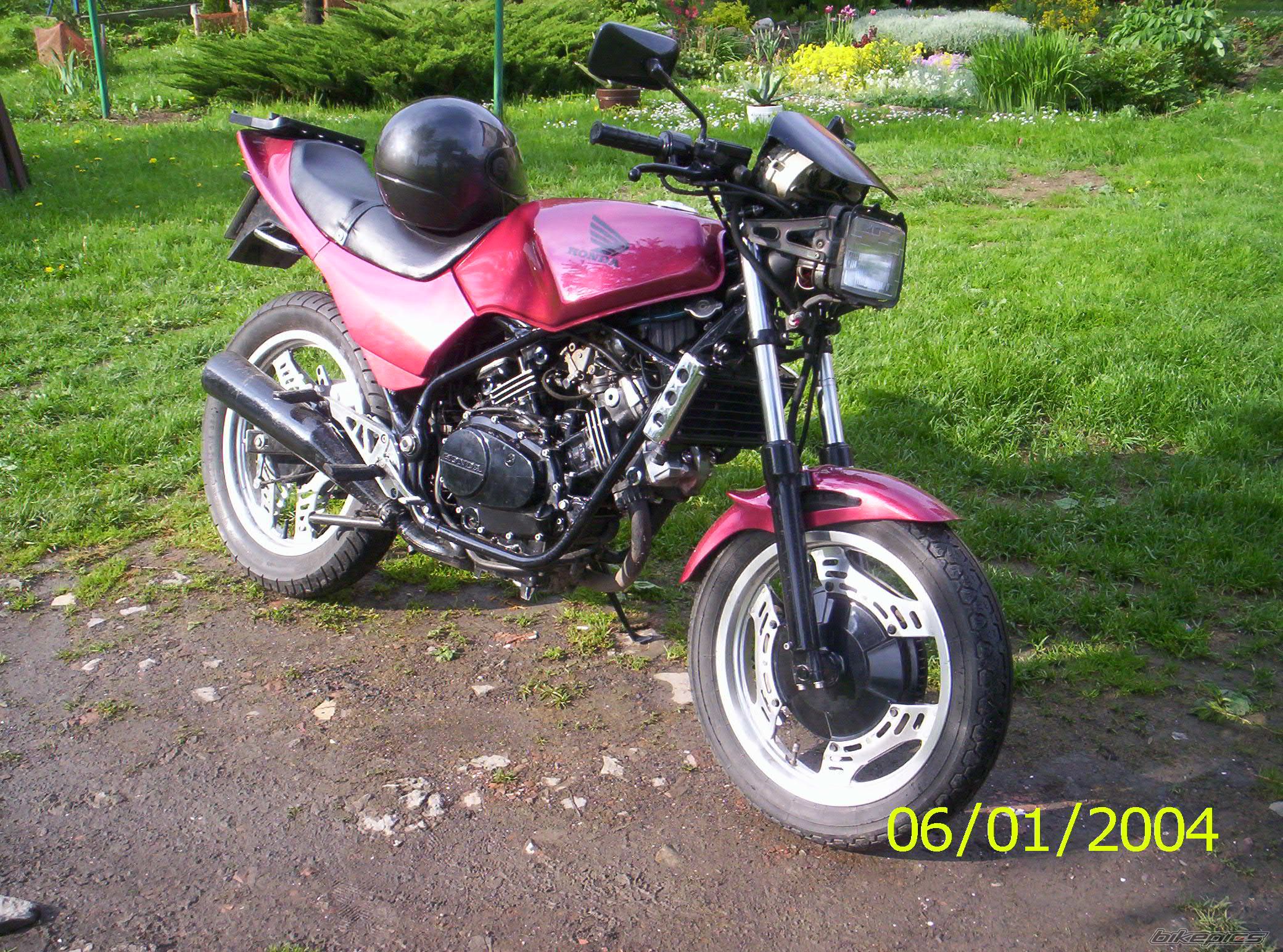 Photo 1364650