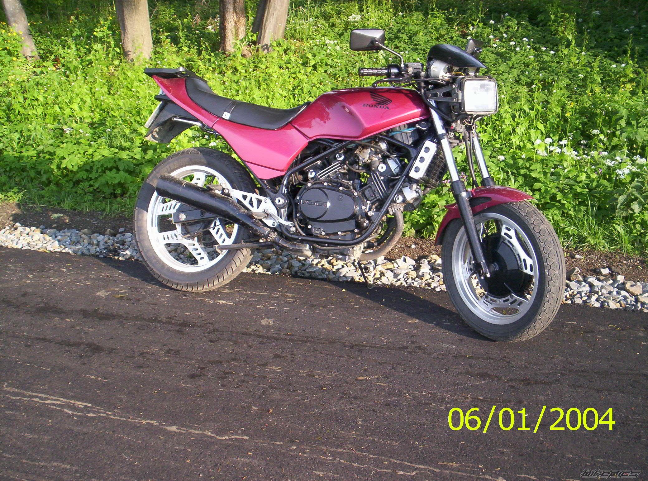 Photo 1364661