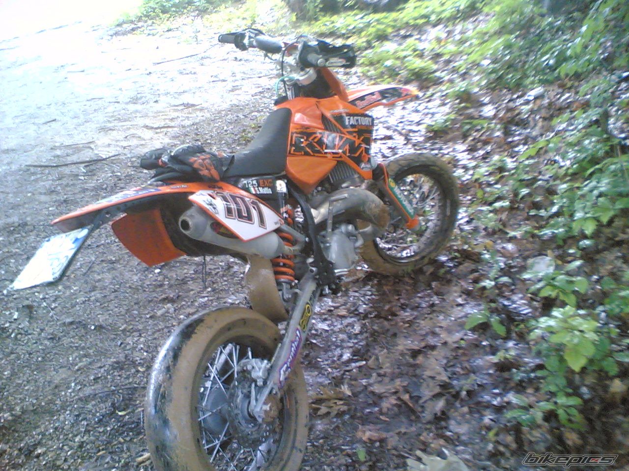 Photo 1364663