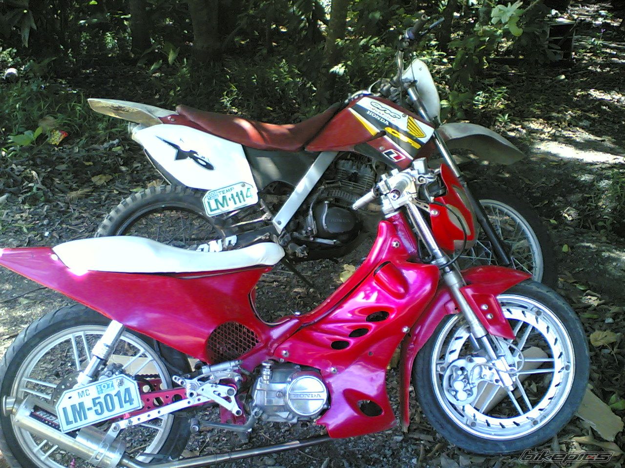 Photo 1364818
