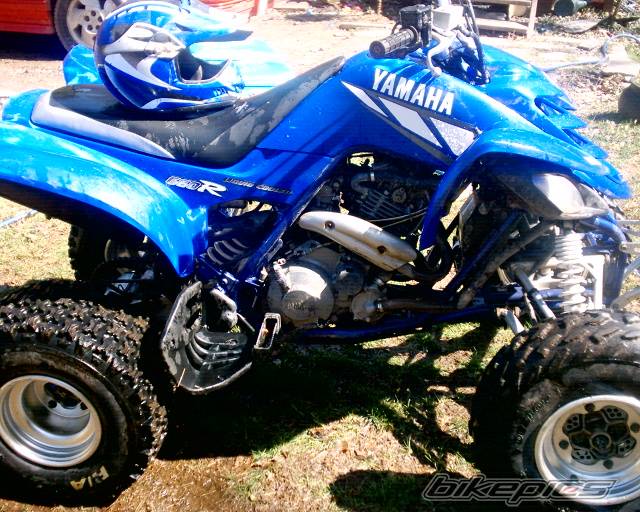 Photo 136497