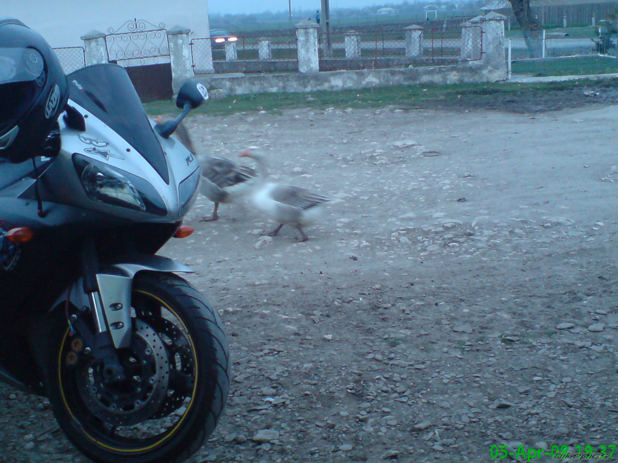 Bike Photo 1365015